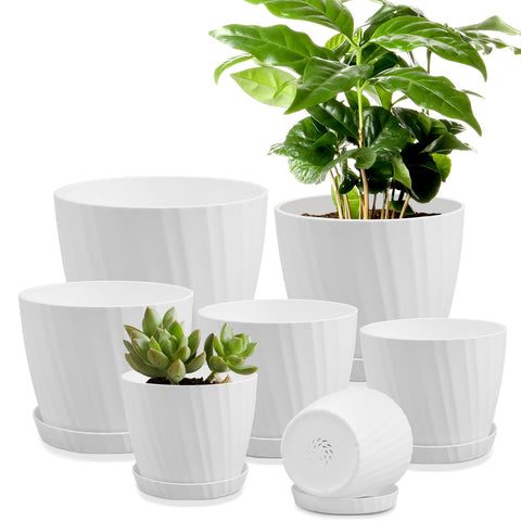 YNNICO set frontal mostrando siete macetas blancas y diseño minimalista