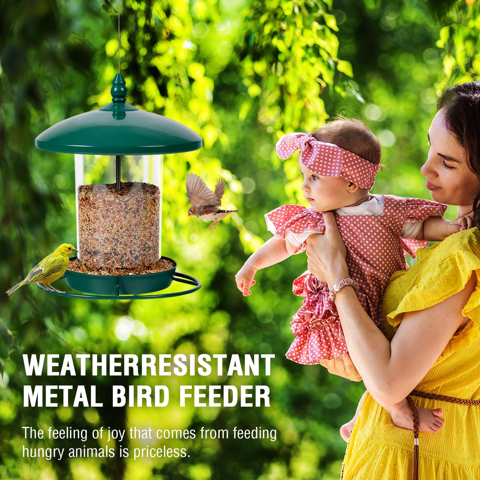 Youvip varias aves usando la percha 360° para alimentación simultánea