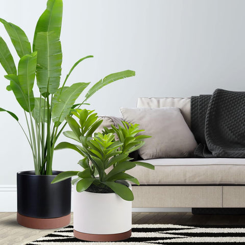 Yukfona en ambiente de salón mejorando la decoración interior