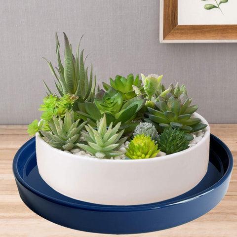 Yukfona interior del plato con agua acumulada controlada