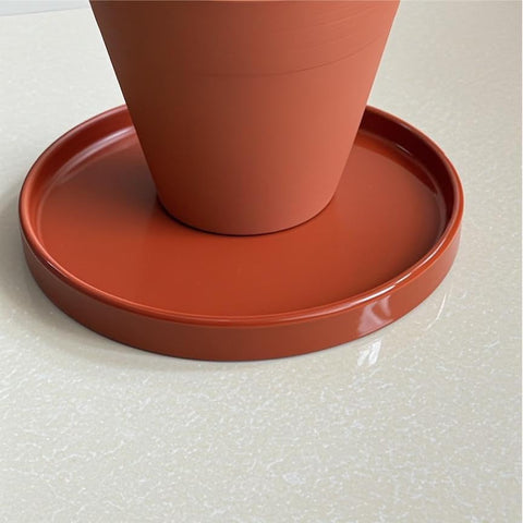 Yukfona plato en sala decorativa añade estilo y recoge drenaje