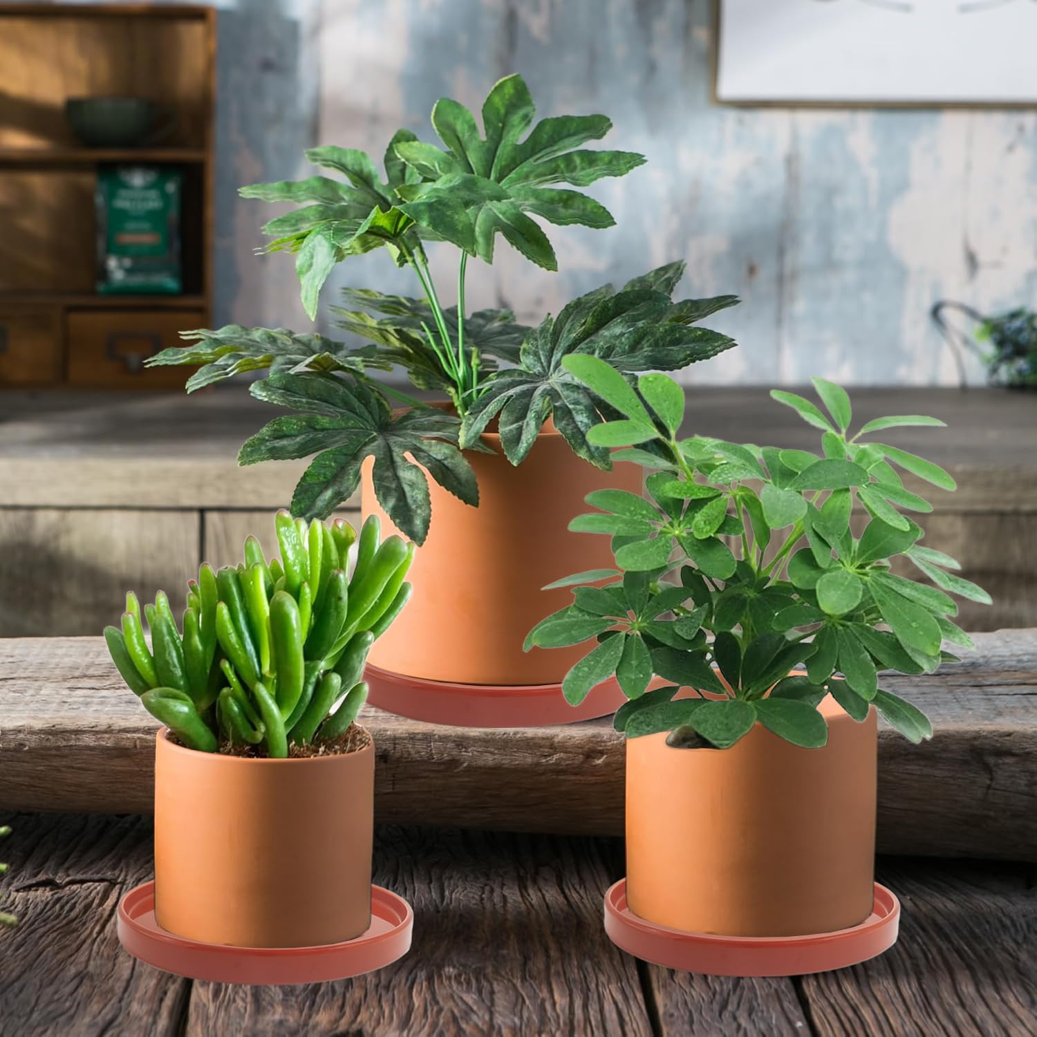 Yukfona pack de dos platos presentados listos para decorar y proteger