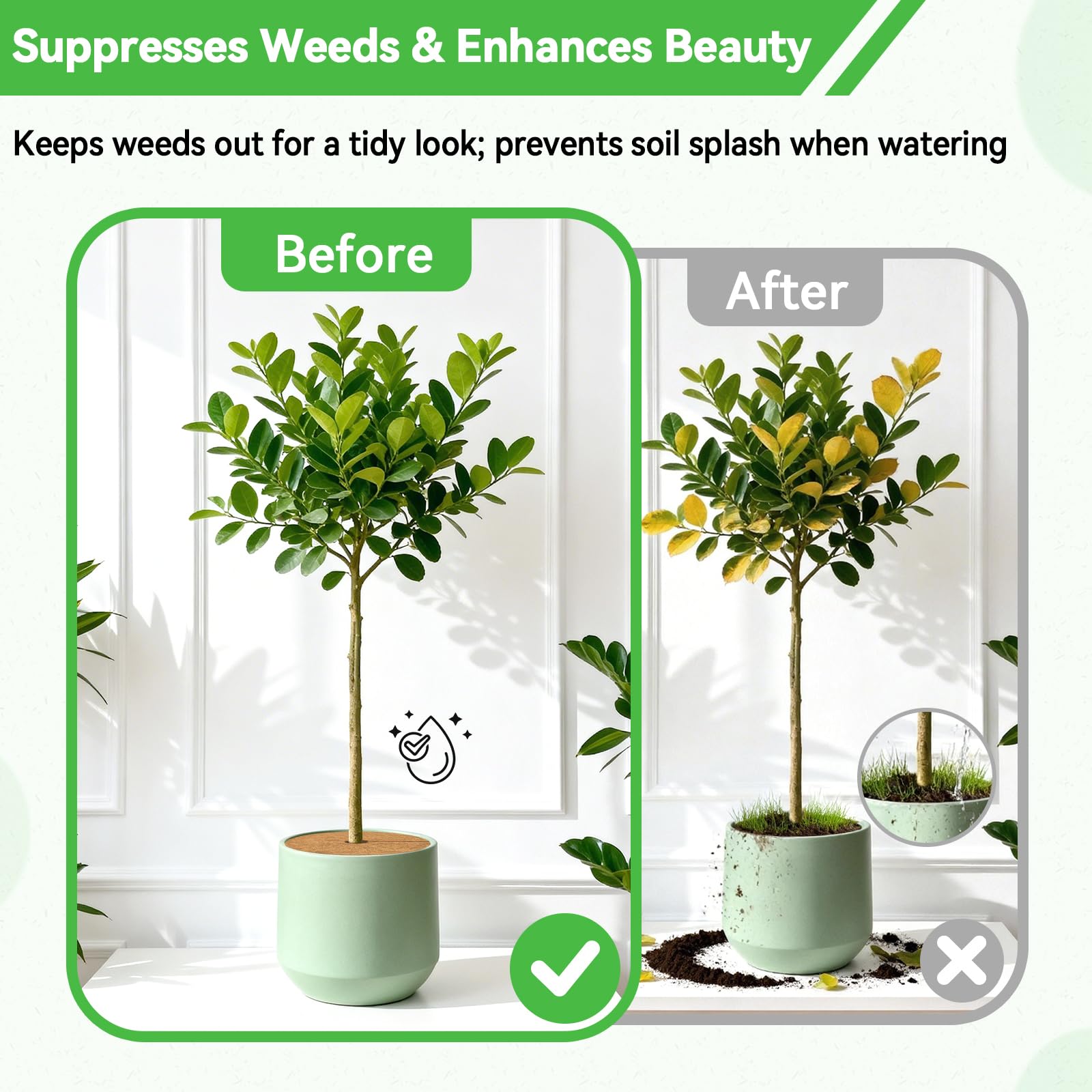 ZeeDix en jardín balcón mostrando estética y control de malezas