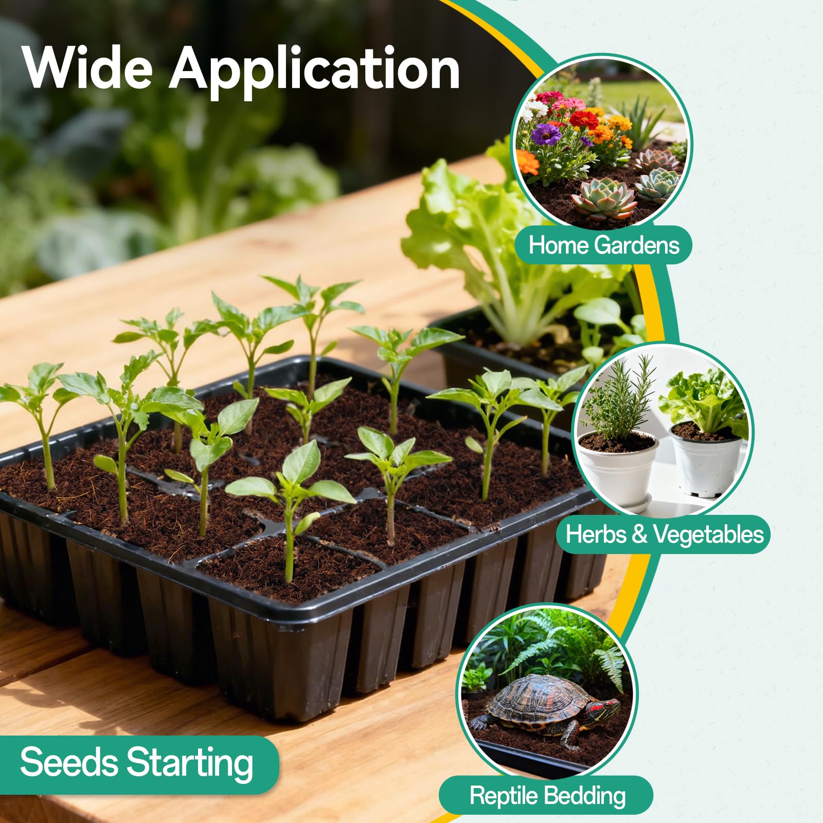ZeeDix bandeja de germinación organizada para muchas semillas