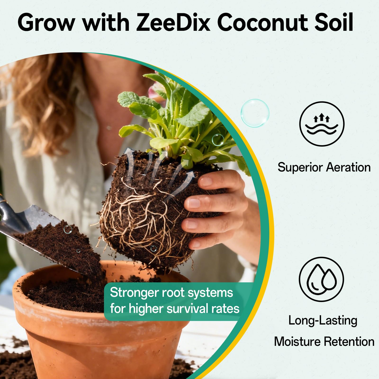 ZeeDix comparación de tamaño con regla mostrando diámetro preciso 30 mm