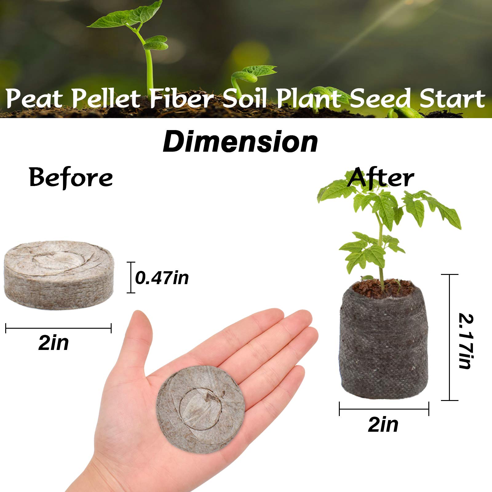 ZeeDix pellet expandido mostrando volumen y retención de agua