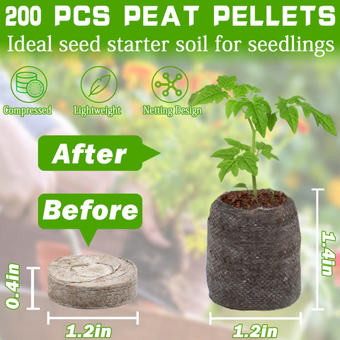ZeeDix pellet expandido en detalle con humedad y estructura aireada