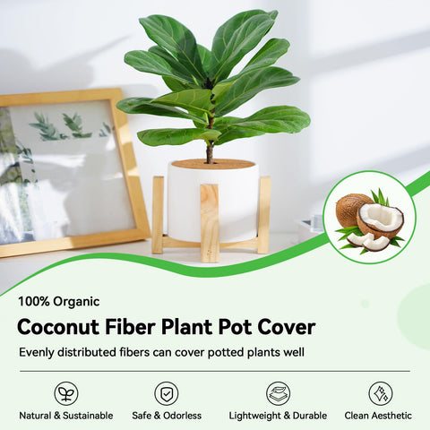 ZeeDix textura de fibra de coco detallada para retención humedad