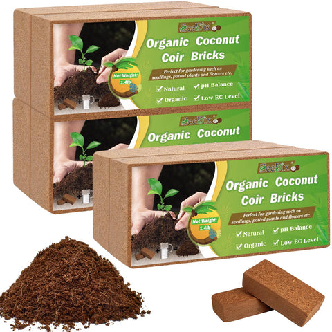 ZeeDix fibra de coco en terrario mostrando comodidad para reptiles
