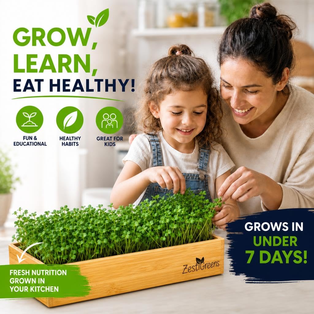 ZESTIGREENS kit en encimera cultivando microgreens frescos y listos para usar