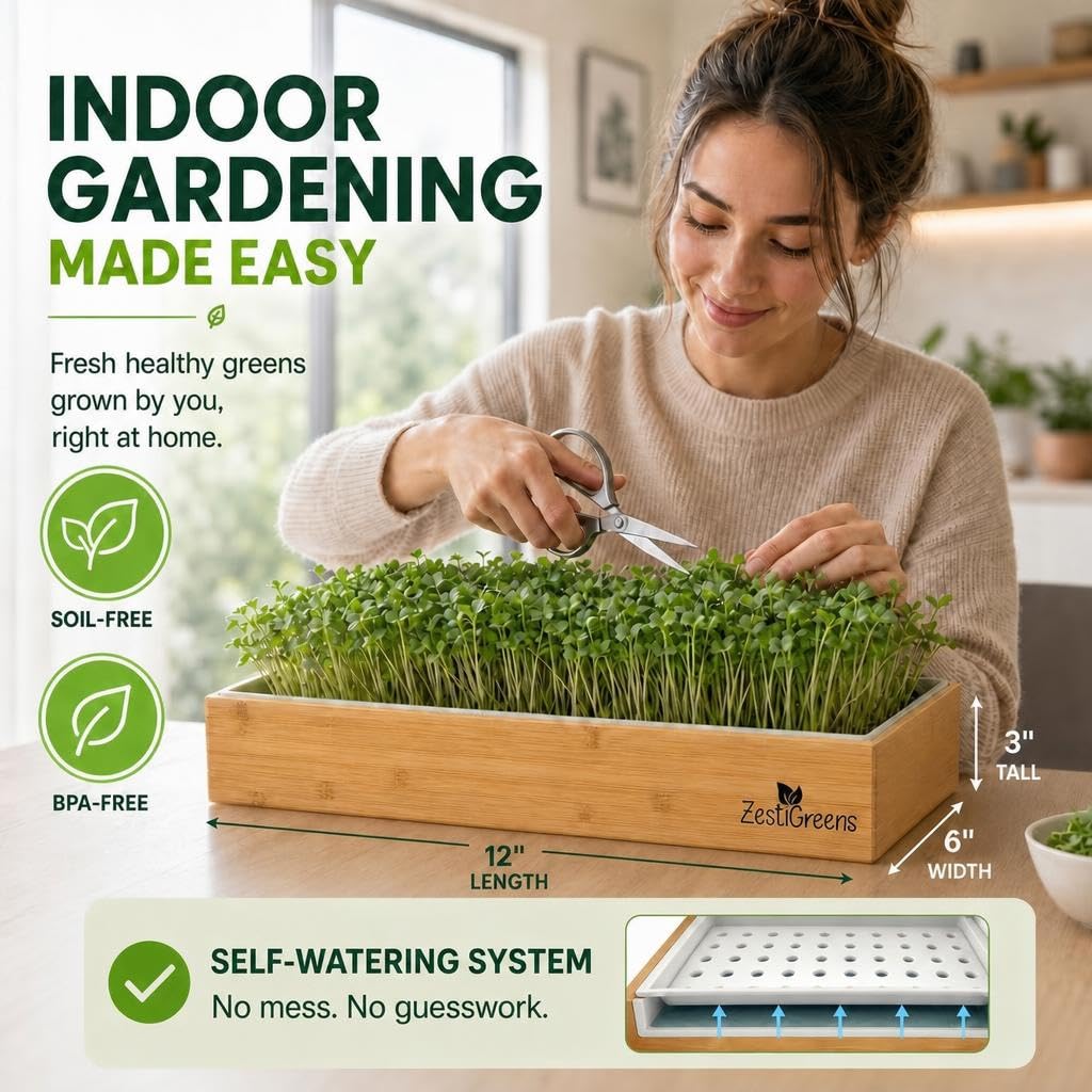ZESTIGREENS inserto hidropónico en detalle que facilita riego estable y sin derrames