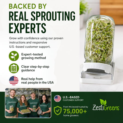 ZESTIGREENS tapa para cebollín facilitando rebrote en agua
