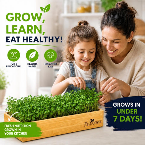 ZESTIGREENS tapetes de cáñamo listos para sembrar y facilitar germinación