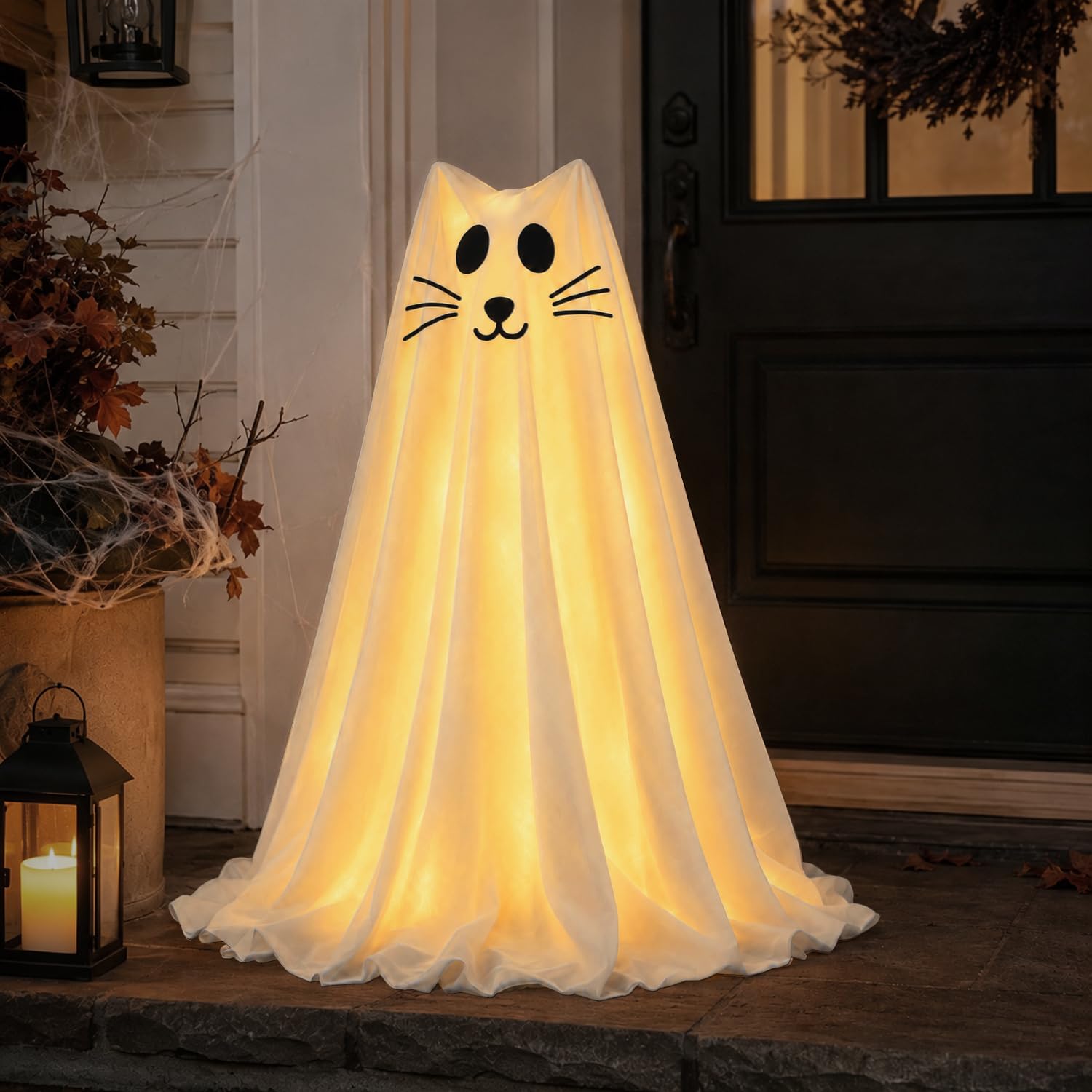 Zesua gato fantasma vista frontal con iluminación tenue