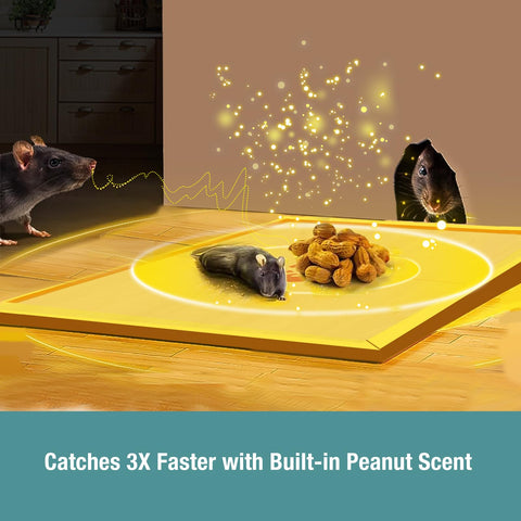 ZingZap primeros planos de la capa adhesiva mostrando fuerte poder de captura