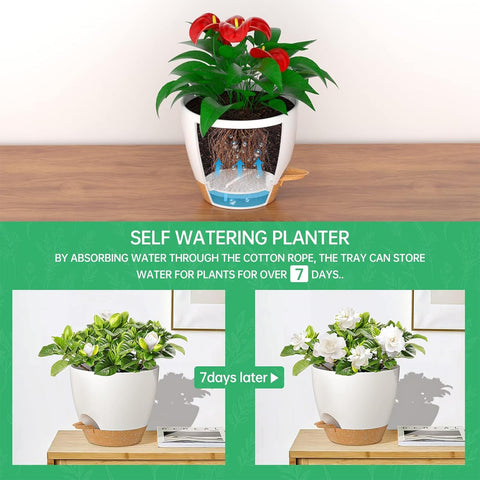 ZMTECH maceta colgante en balcón con planta mostrando ahorro de espacio