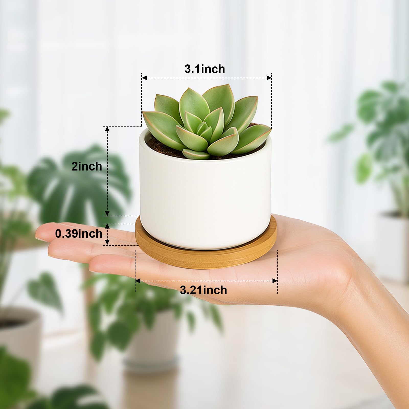ZOUTOG primer plano del esmalte cerámico blanco, acabado resistente
