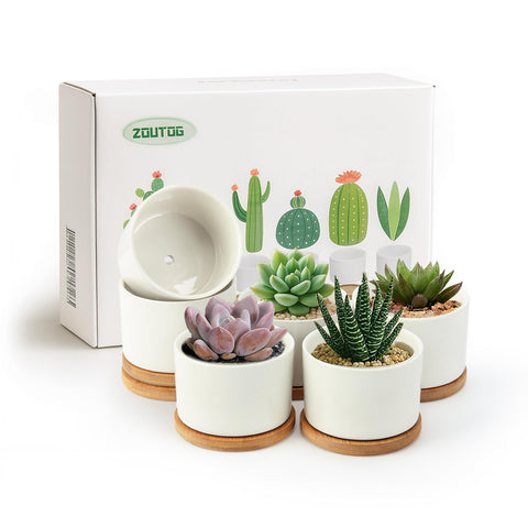 ZOUTOG vista frontal del paquete de seis macetas, elegante y compacta